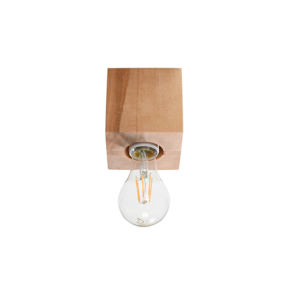 Ariz Ceiling Light
