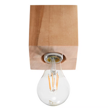 Ariz Ceiling Light