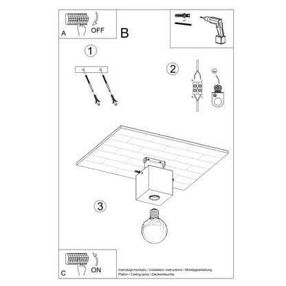 Ariz Ceiling Light