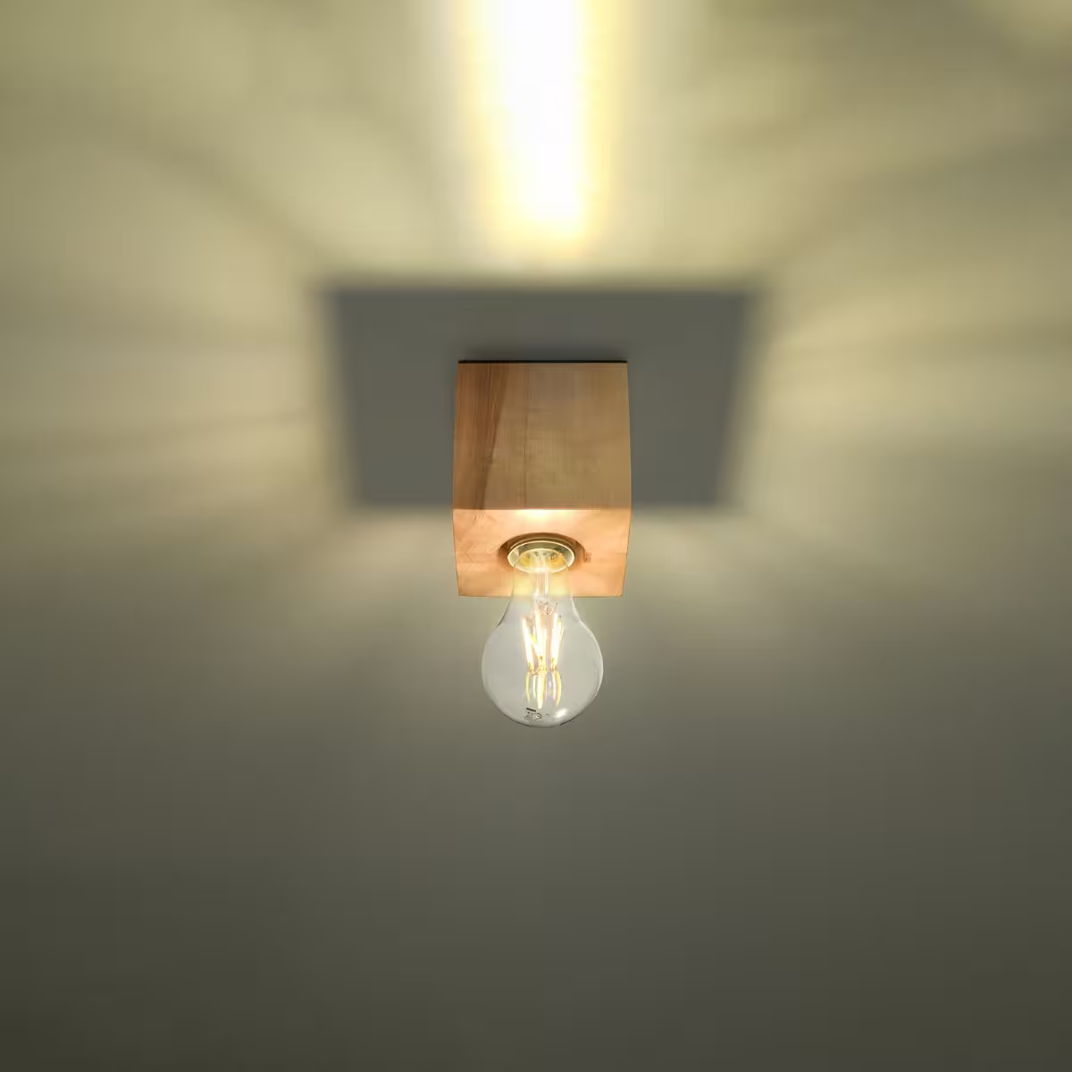 Ariz Ceiling Light