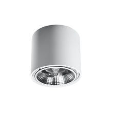 Tiube Ceiling Light