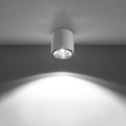Tiube Ceiling Light