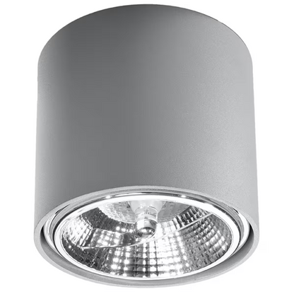 Tiube Ceiling Light