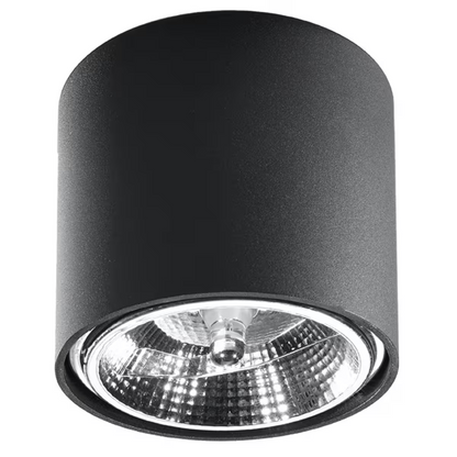 Tiube Ceiling Light