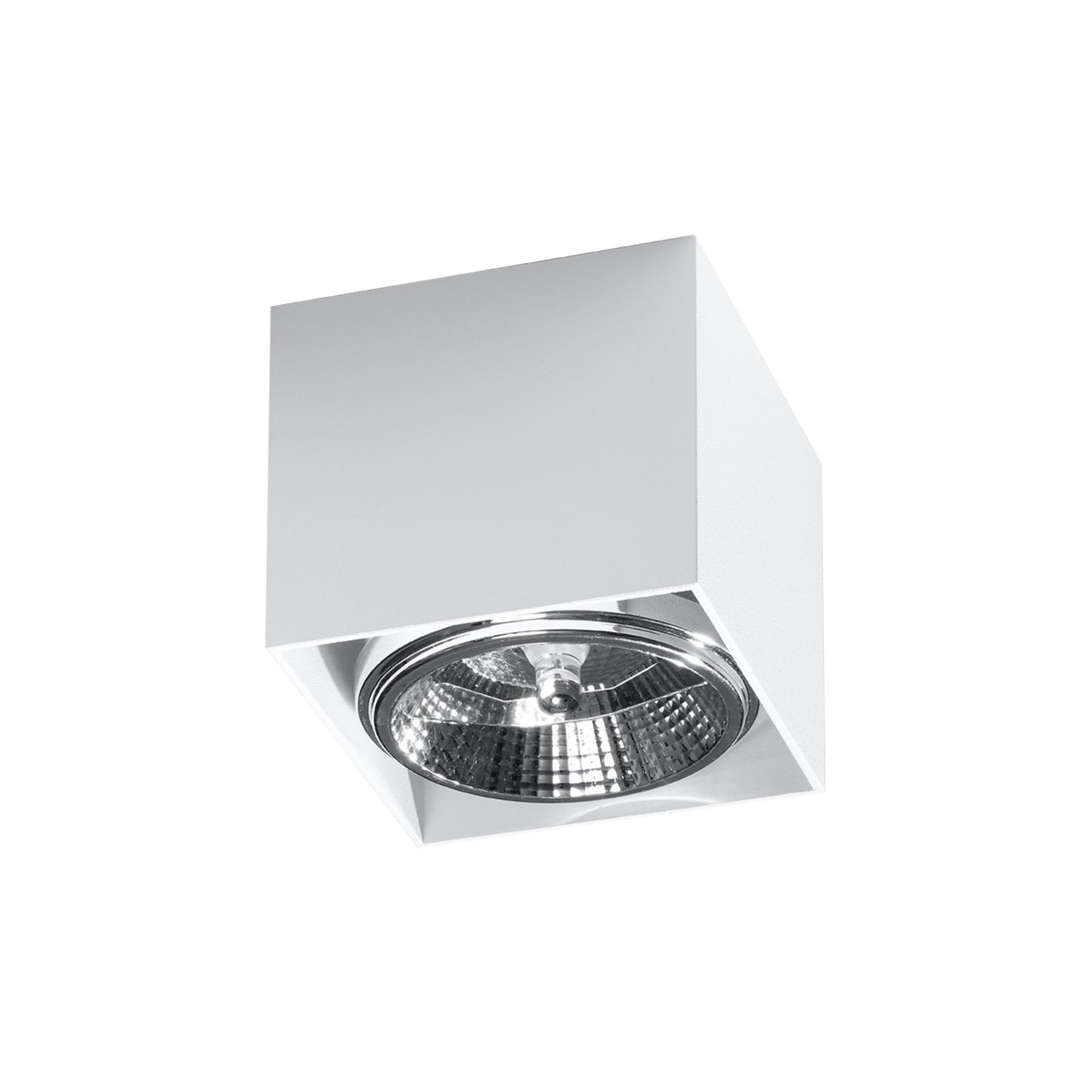 Blake Ceiling Light