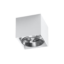 Blake Ceiling Light
