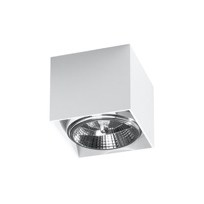 Blake Ceiling Light