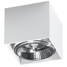 Blake Ceiling Light