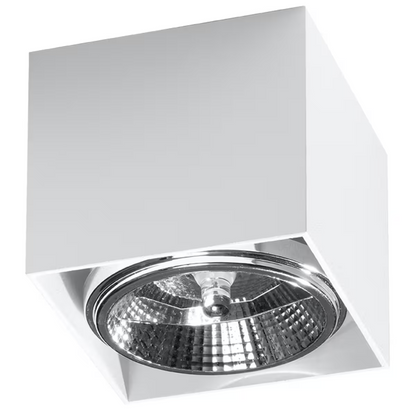 Blake Ceiling Light