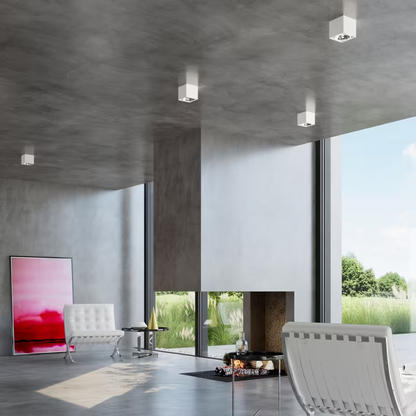 Blake Ceiling Light