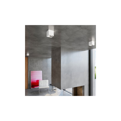 Blake Ceiling Light