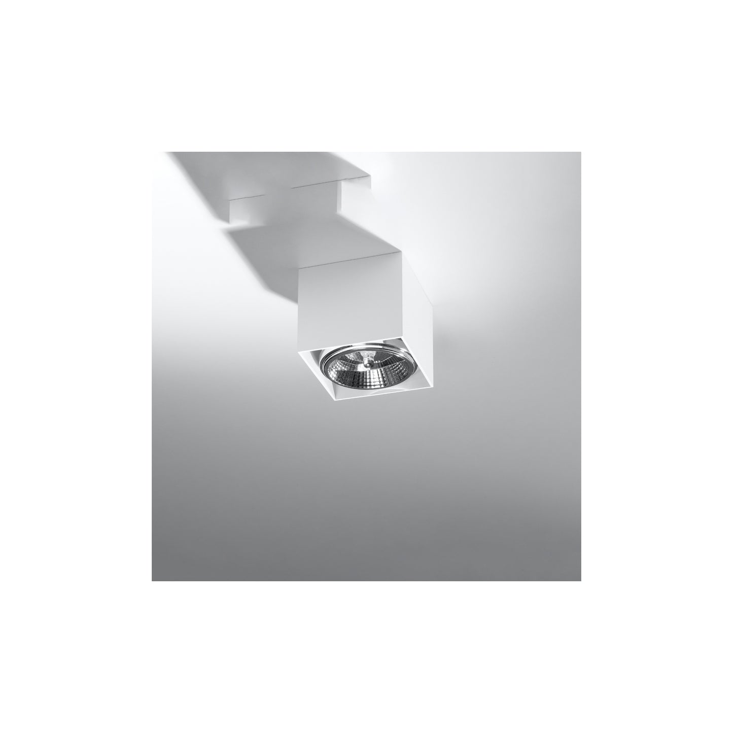 Blake Ceiling Light