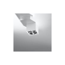 Blake Ceiling Light