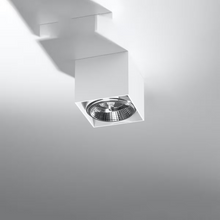 Blake Ceiling Light