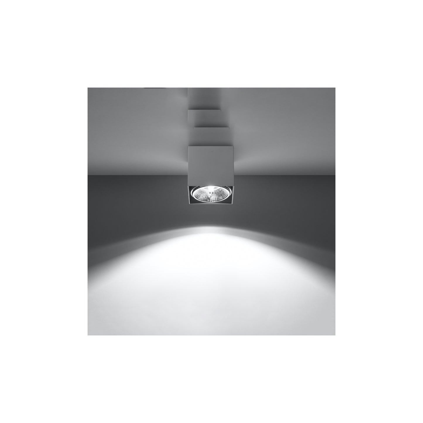Blake Ceiling Light