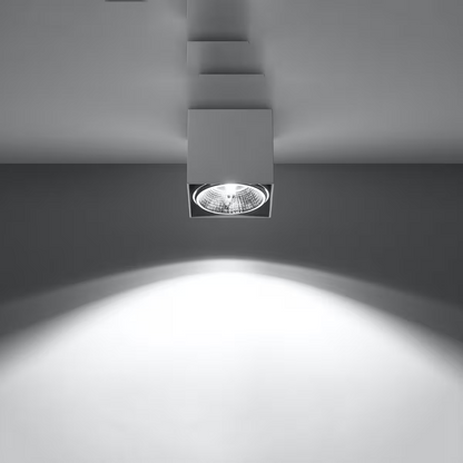 Blake Ceiling Light