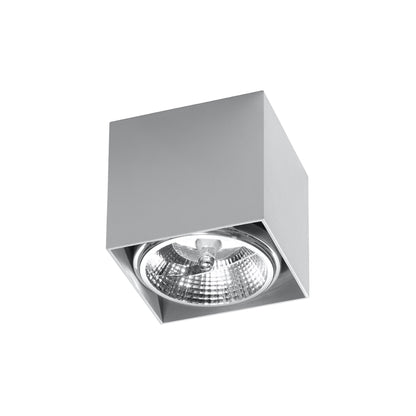 Blake Ceiling Light