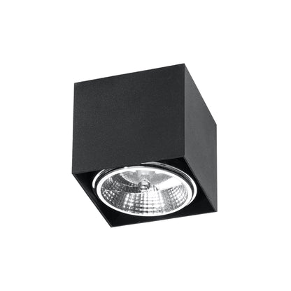 Blake Ceiling Light