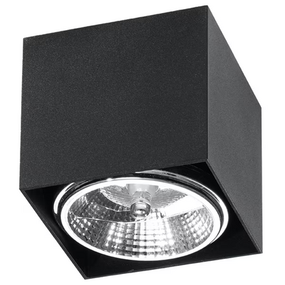 Blake Ceiling Light