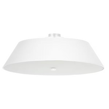 Vega 70 Ceiling Light