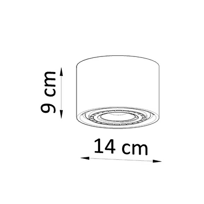 Basic 1 Ceiling Light