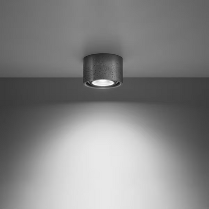Basic 1 Ceiling Light