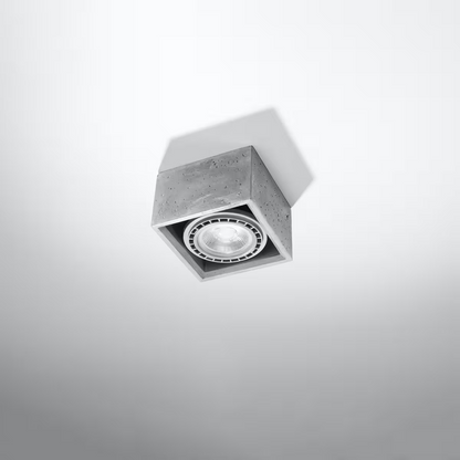 Quatro 1 Ceiling Light