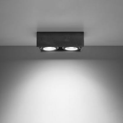 Quatro 2 Ceiling Light