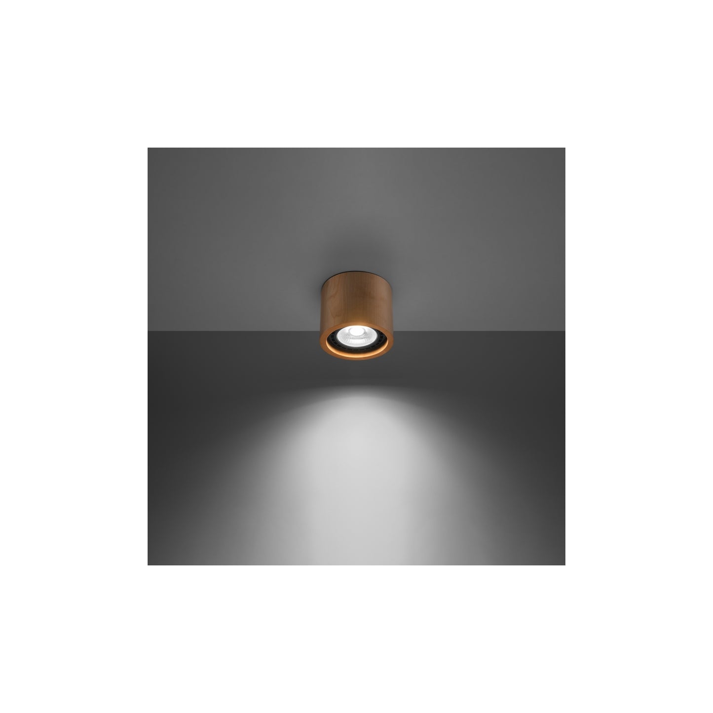 Basic 1 Planfond in Natural Wood