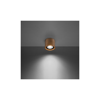 Basic 1 Planfond in Natural Wood