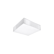 Horus 55 Ceiling Light
