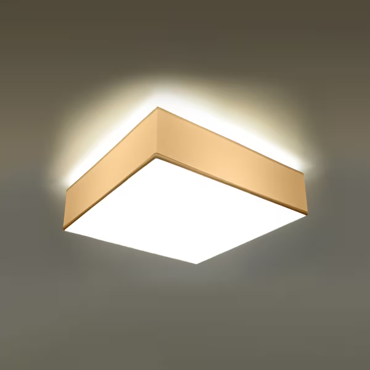 Horus 55 Ceiling Light