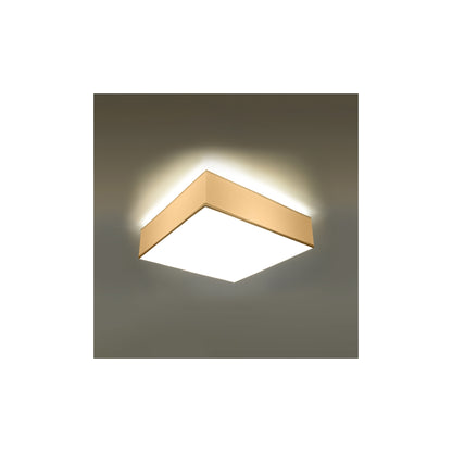 Horus 55 Ceiling Light
