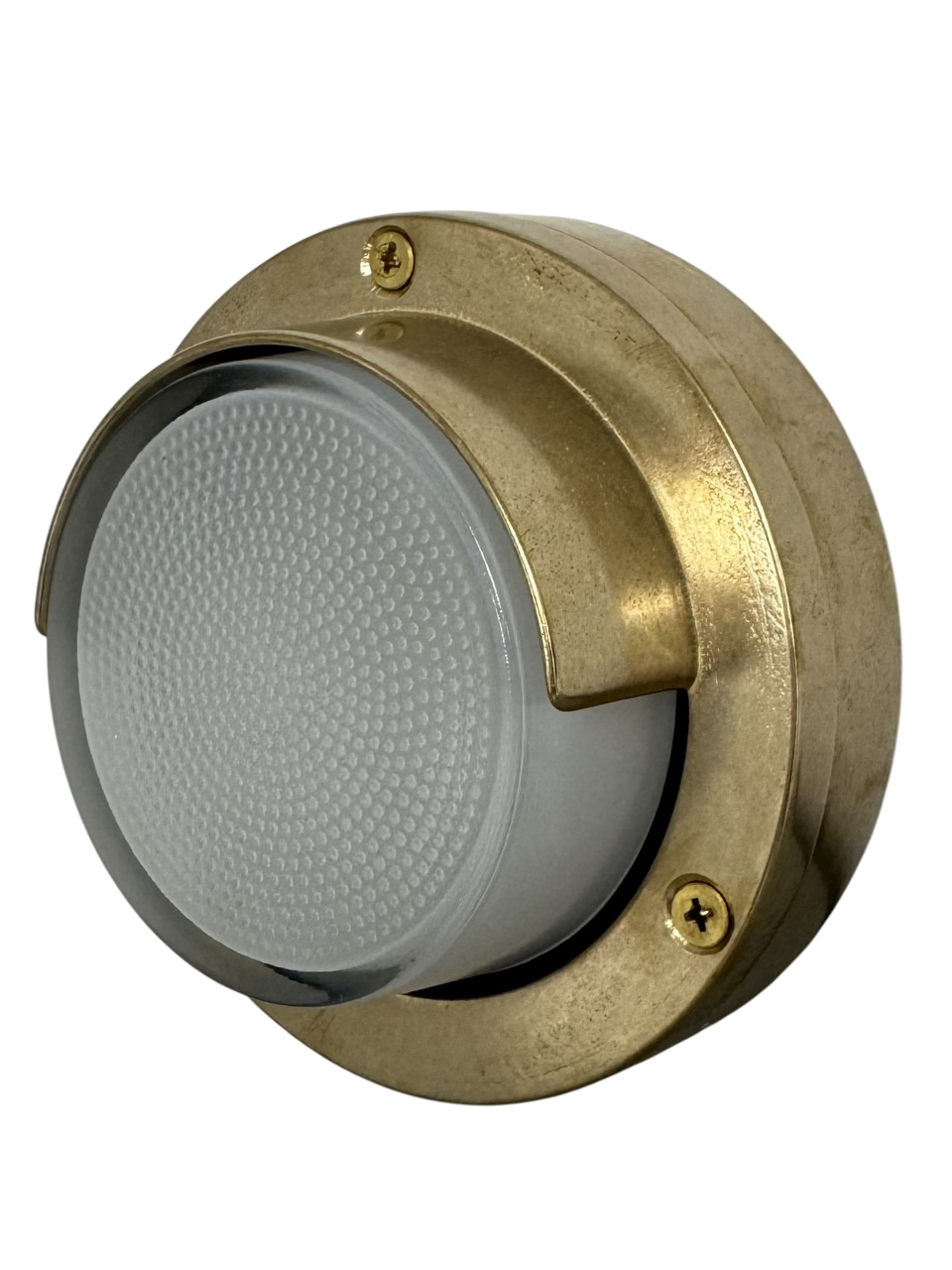 Navigator Eyelid Outdoor Wall Light