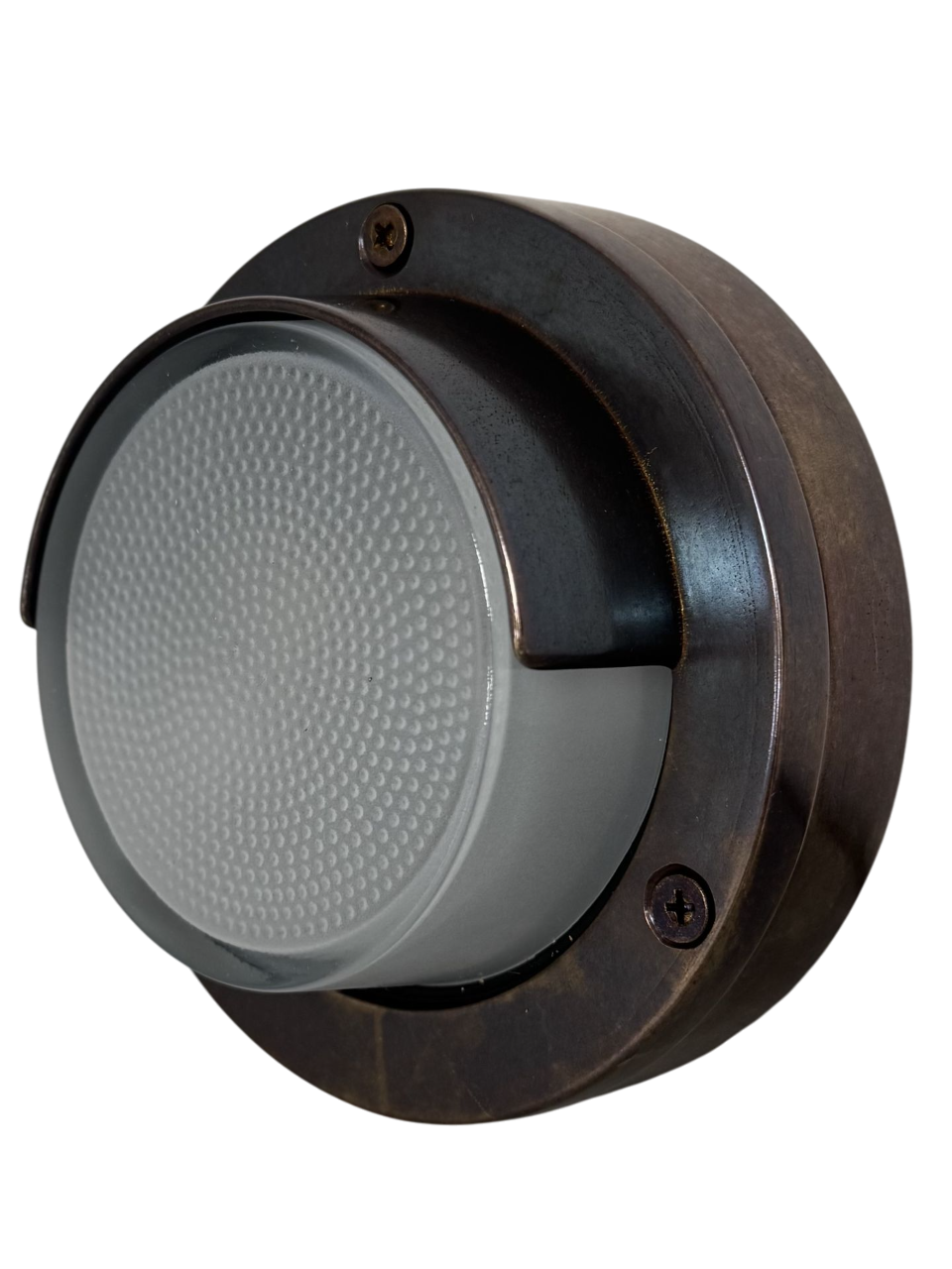Navigator Eyelid Outdoor Wall Light