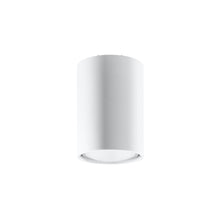 Lagos 10 Ceiling Light
