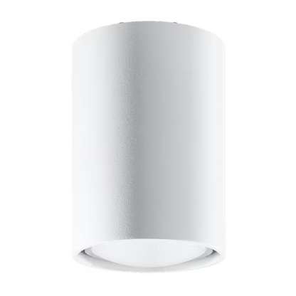 Lagos 10 Ceiling Light