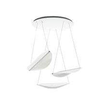 Diphy 3 Source LED Pendant in White