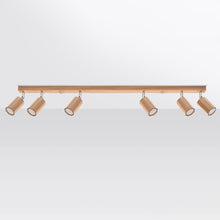 Sollux Zeke Ceiling Light
