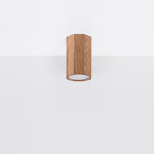 Zeke 10 Ceiling Light in Oak