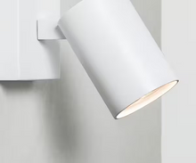 Ascoli Single Wall or Ceiling Spotlight
