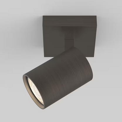 Ascoli Single Ceiling Spotlight