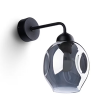 Fillan 1 Wall Light in Black