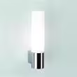 Bari Frosted Glass Wall Light with Tube Base