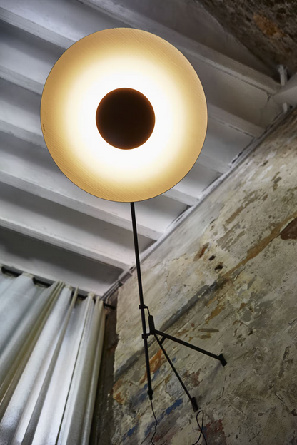 Ginger A Large Hardwired Large LED Wall Light