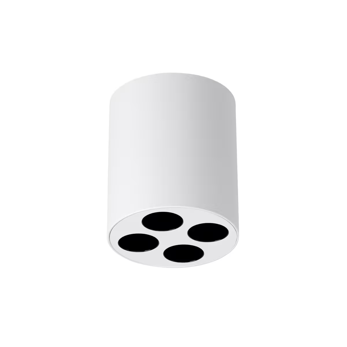 Zoe LED Ceiling Light