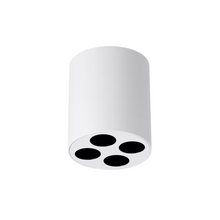 Zoe LED Ceiling Light