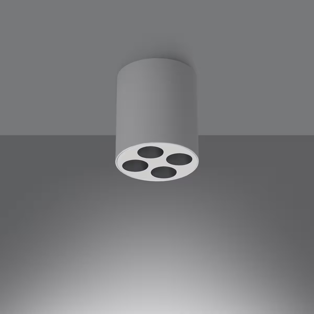 Zoe LED Ceiling Light