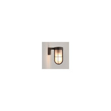 Cabin Exterior Bronze Wall Light with Frosted Glass