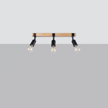 Zuca 3 Ceiling Light in Black